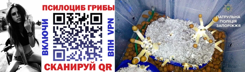 Псилоцибиновые грибы мицелий Воткинск